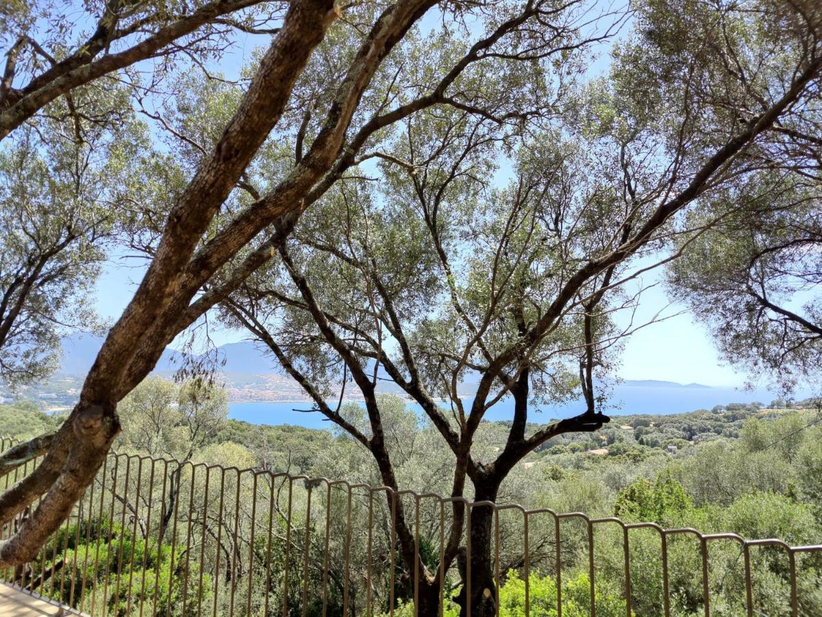 Licciola Apartment